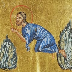 On a plain gold ground, Christ in a blue robe kneels between two silvery-green bushes, his hands lifted before his face in prayer.